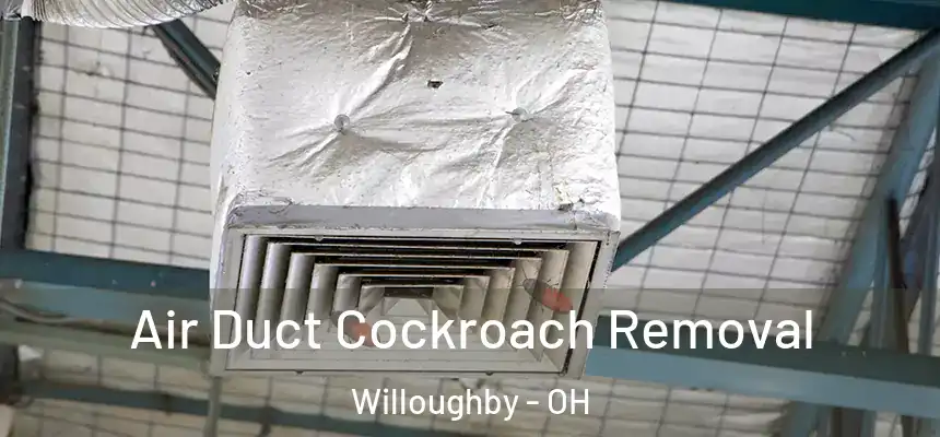 Air Duct Cockroach Removal Willoughby - OH