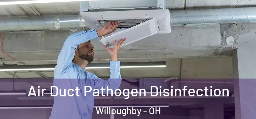  Air Duct Pathogen Disinfection Willoughby - OH