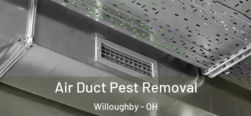  Air Duct Pest Removal Willoughby - OH
