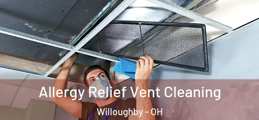 Allergy Relief Vent Cleaning Willoughby - OH