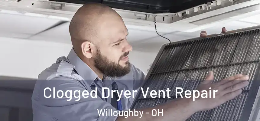  Clogged Dryer Vent Repair Willoughby - OH