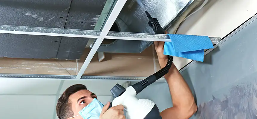 Our Air Duct Rodent Removal Services in Willoughby, OH