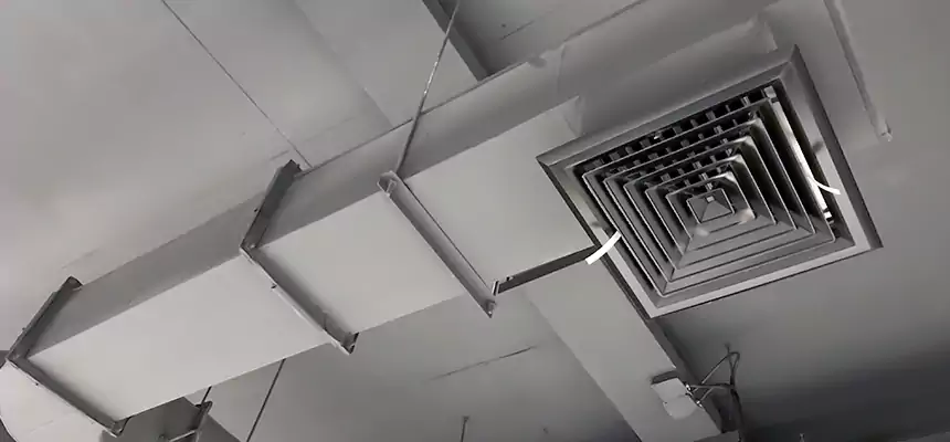 Our Pest Removal From Ducts Services in Willoughby, OH