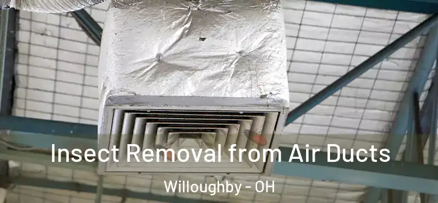  Insect Removal from Air Ducts Willoughby - OH