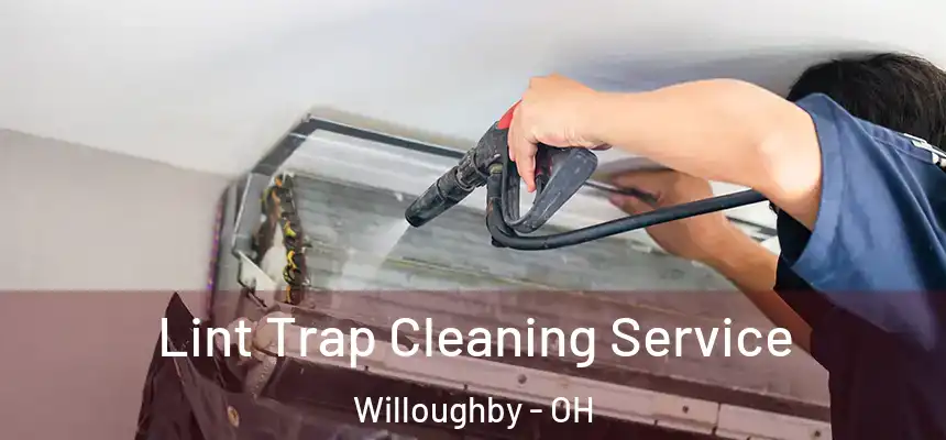 Lint Trap Cleaning Service Willoughby - OH