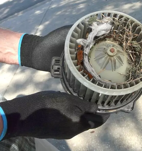 About Air Duct Mice Removal in Willoughby, OH