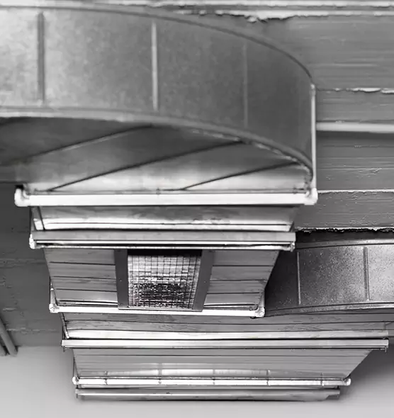 Professional Air Duct Pest Removal in Willoughby, OH