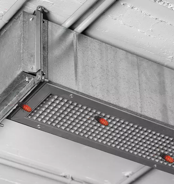 Affordable Insect Removal from Air Ducts in Willoughby, OH