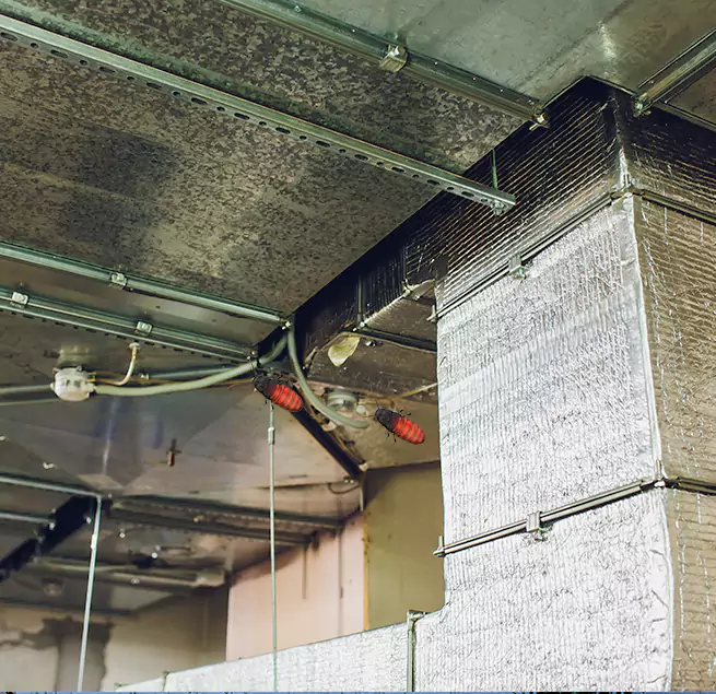 Why Homeowners & Businesses Trust Us in Willoughby, OH?