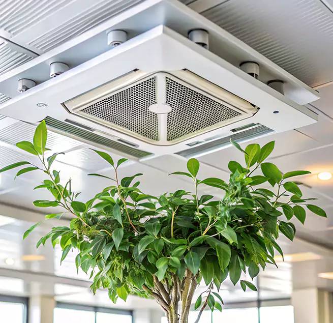 Why Homeowners & Businesses Trust Us in Willoughby, OH?